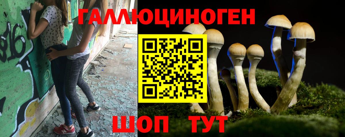Галлюциногенные грибы MAGIC MUSHROOMS  Вход с VPN  Ачинск  Псилоцибиновые грибы мицелий 